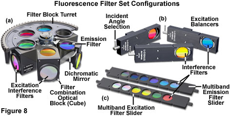 Fluorescence Filters