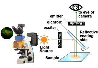 Microscopy