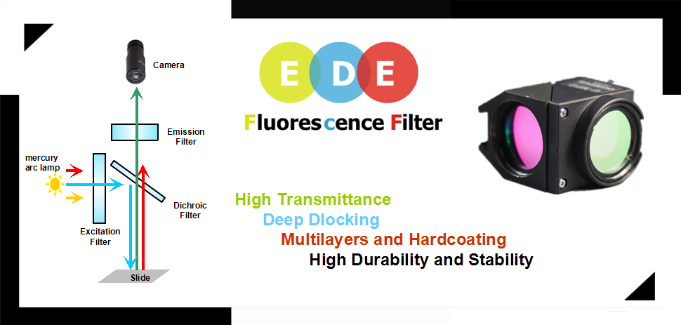 fluorescence microscopy dichroic mirror,fluorescence microscopy excitation Filter,fluorescence microscopy emission Filter